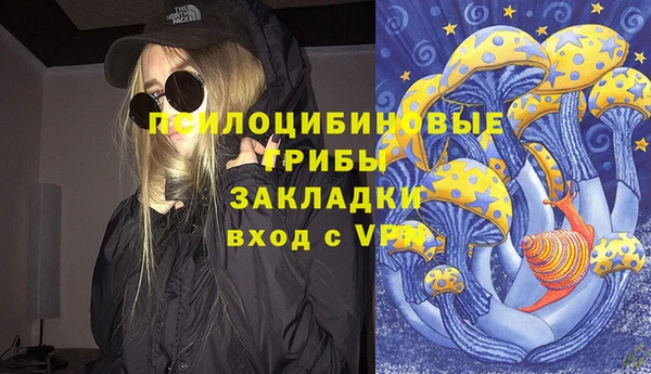 мяу мяу мука Аркадак