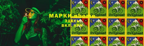 дмт Россошь
