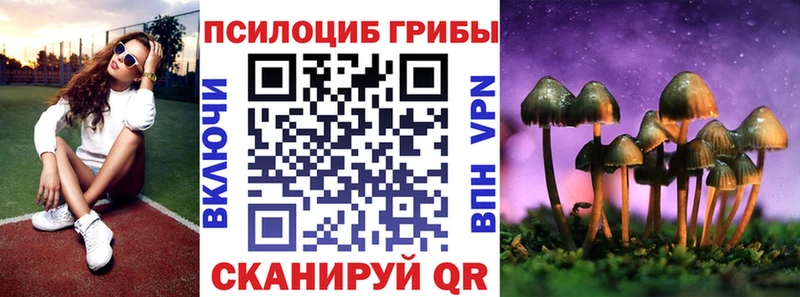 Псилоцибиновые грибы Psilocybe Терек